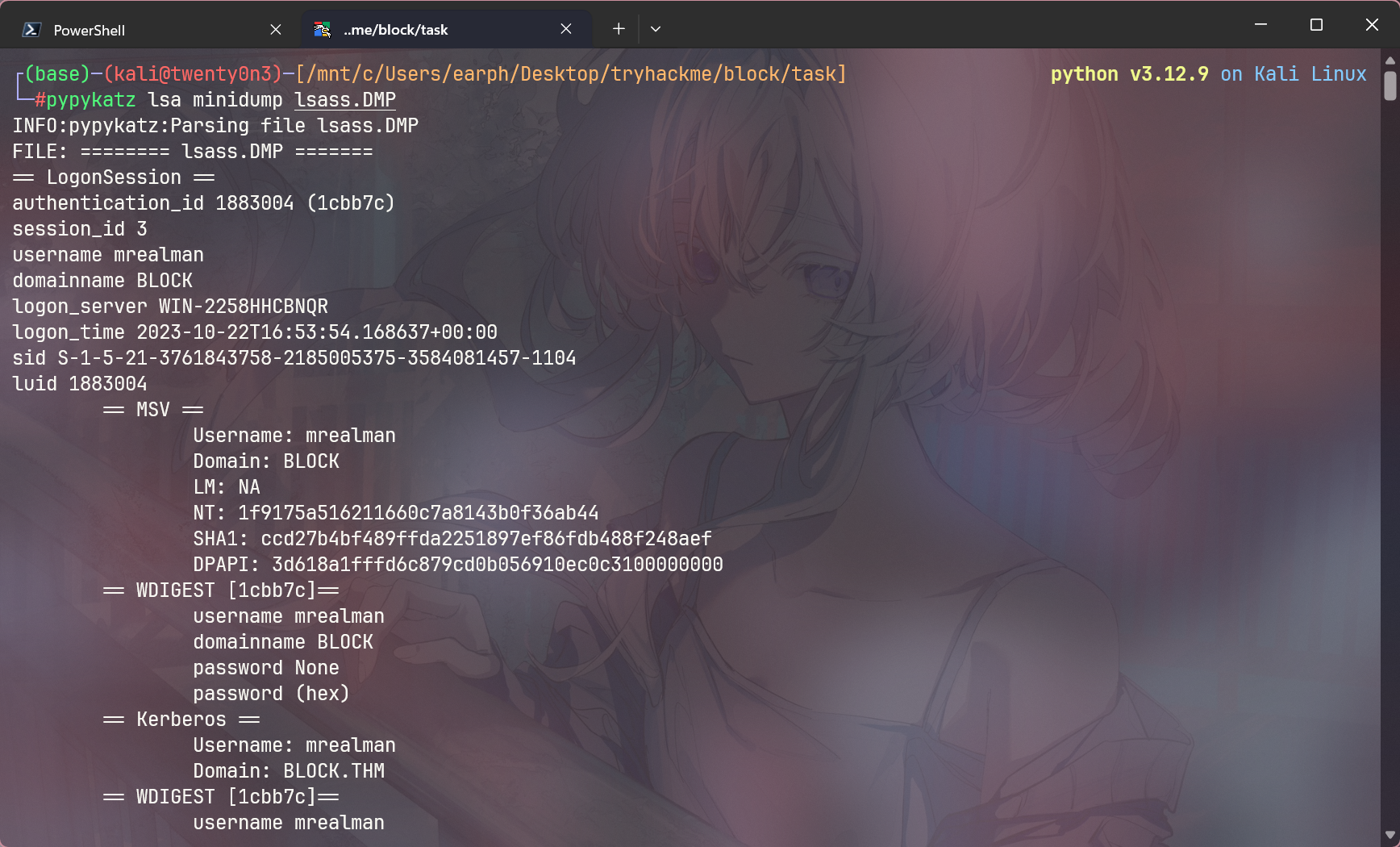 image-20250410163719013